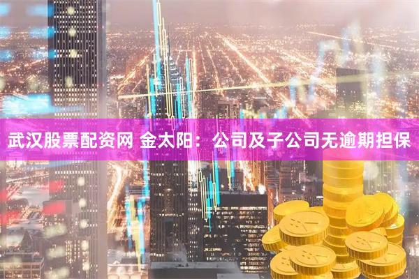 武汉股票配资网 金太阳：公司及子公司无逾期担保