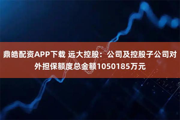 鼎皓配资APP下载 远大控股:公司及控股子公司对外担保额度总金额1050185万元