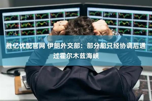 胜亿优配官网 伊朗外交部:部分船只经协调后通过霍尔木兹海峡